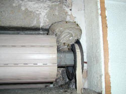 Deutsche Wespe (Dunkelhöhlenbrüter) in Rollladenkasten