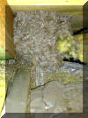 Nest der deutschen Wespe auf einem Dachboden