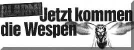 Alarm ! Jetzt kommen die Wespen