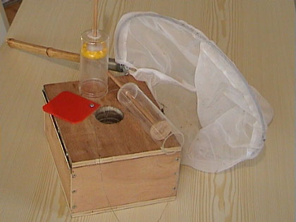 (c) Copyright by Robert Ripberger