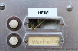 Wespe kehrt Hein ... von Oliver Schaetzlein (c) 2008