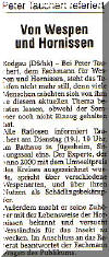 Presseeinladung zu einem Vortrag