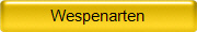 Wespenarten