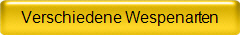 Verschiedene Wespenarten