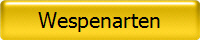 Wespenarten
